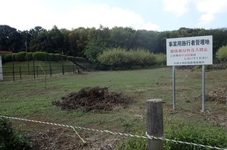 danotame 30.jpg