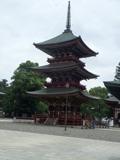 naritasan 25.jpg
